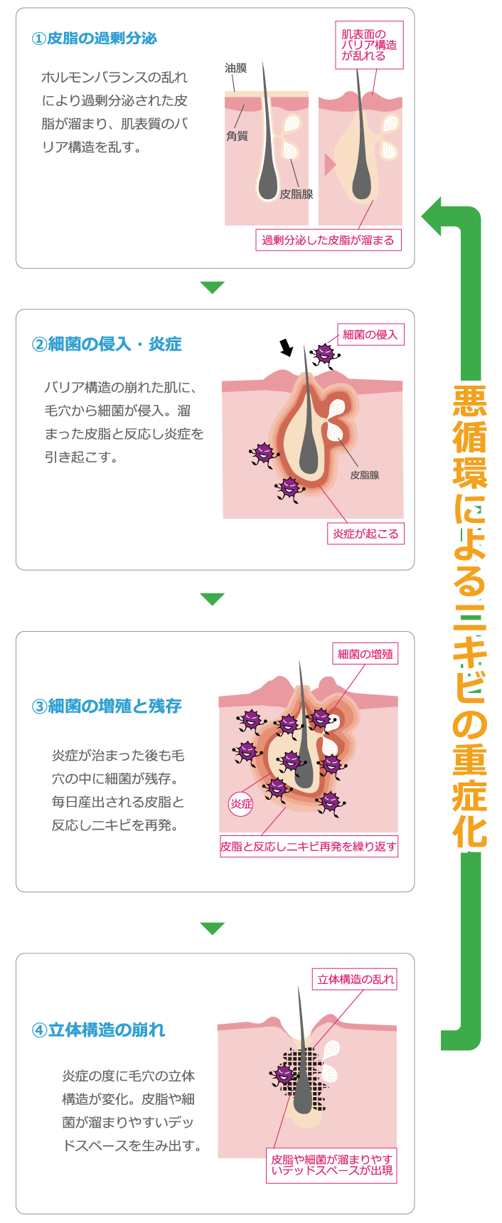 重症ニキビのメカニズム